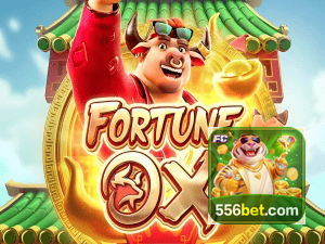 556BET login — painel de entrada no app oficial